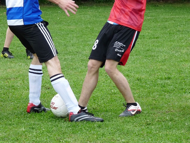 的创造力和 的创造力和