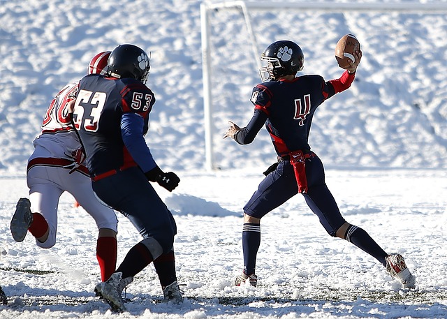 常提到莎士 常提到莎士