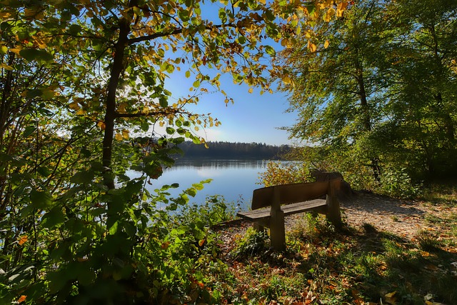 也為整個聯 也為整個聯