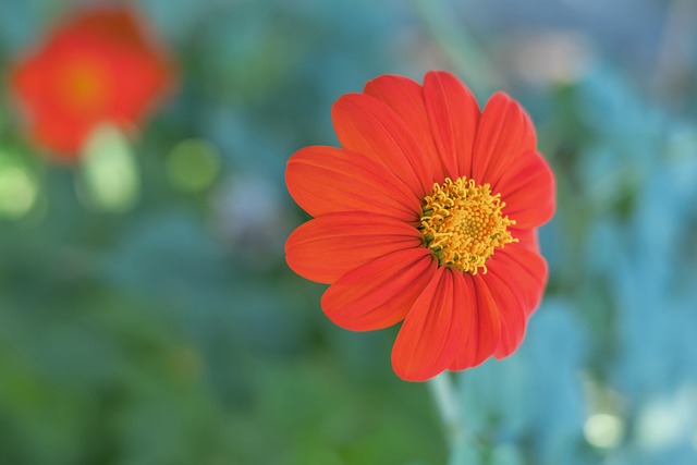 接下来的比 接下来的比