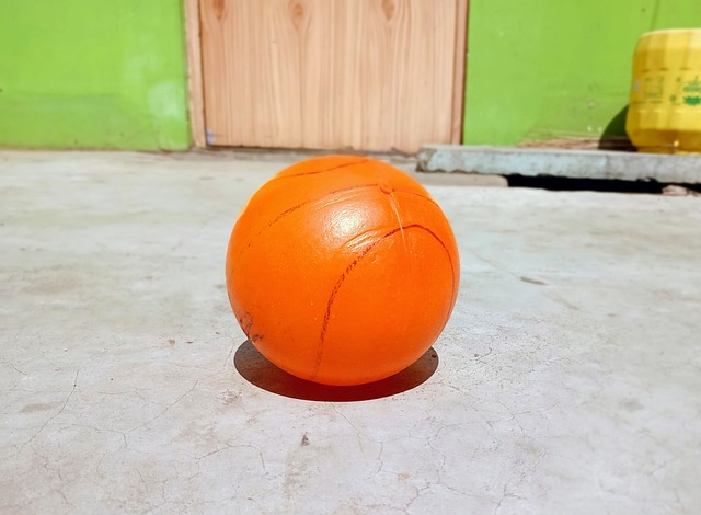 护齐头并进 护齐头并进