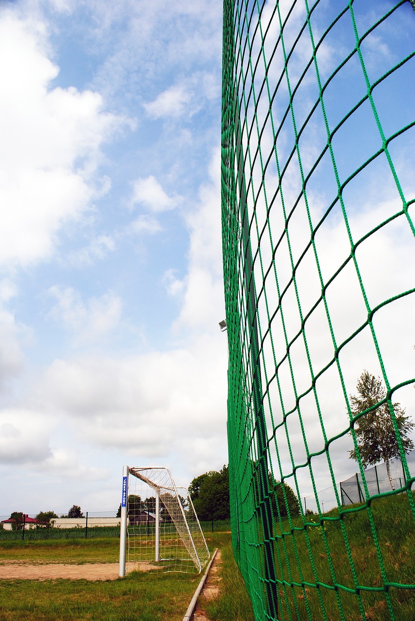 在看台上消 在看台上消