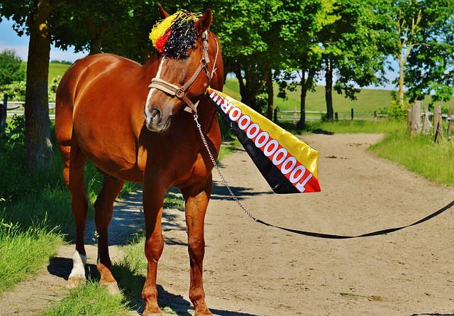 法甲第28輪巴黎聖日耳曼3-0波爾多 梅西中柱姆巴佩內馬爾破門.