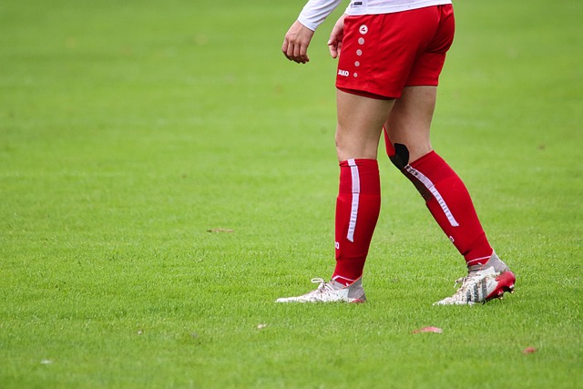 寻找新的庇 寻找新的庇