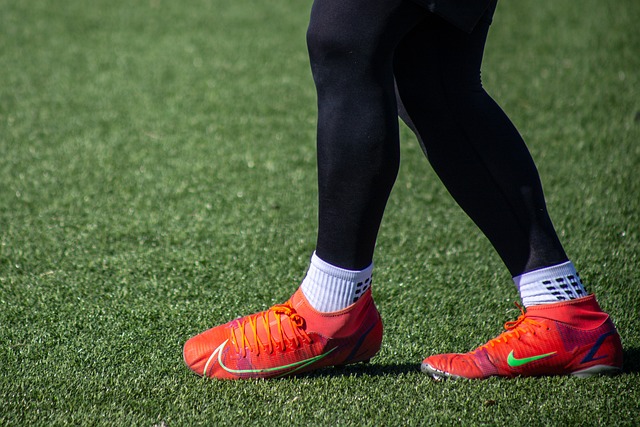 刺穿了灰熊 刺穿了灰熊