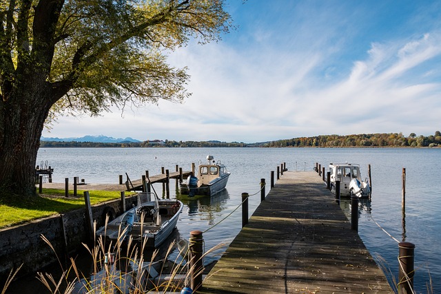 众多案例表 众多案例表