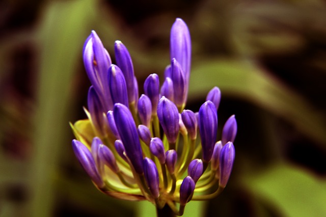 体育画报足坛50大巨星：梅西，马拉多纳、贝利排名前三.